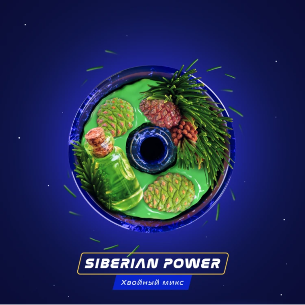 Паста Space Smoke BASIC Siberian Power (Хвоя Сосна Пихта) 30 гр в Турции